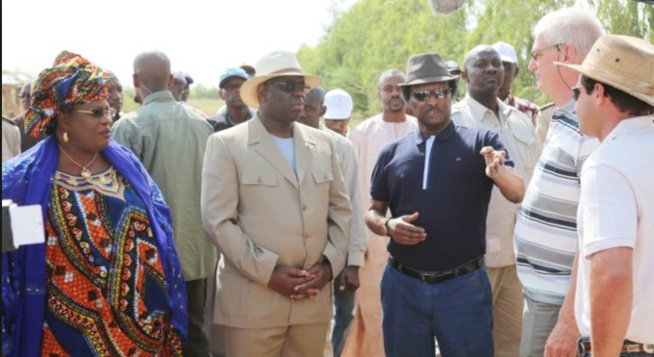 Fourniture de pétrole brut à la Sar : Baba Diao perd le monopole Fourniture de pétrole brut à la Sar : Baba Diao perd le monopole