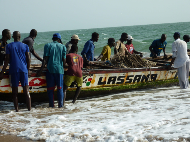 Interdiction de la pêche nocturne des petits pélagiques: Les acteurs magnifient la décision Interdiction de la pêche nocturne des petits pélagiques: Les acteurs magnifient la décision