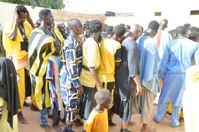 Un million et un bélier, le "Ndogou ziar" de Serigne Baba à Serigne Bassirou Fall Alhourane à Touba. Un million et un bélier, le "Ndogou ziar" de Serigne Baba à Serigne Bassirou Fall Alhourane à Touba.