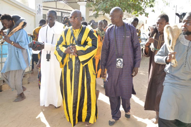 Un million et un bélier, le "Ndogou ziar" de Serigne Baba à Serigne Bassirou Fall Alhourane à Touba. Un million et un bélier, le "Ndogou ziar" de Serigne Baba à Serigne Bassirou Fall Alhourane à Touba.