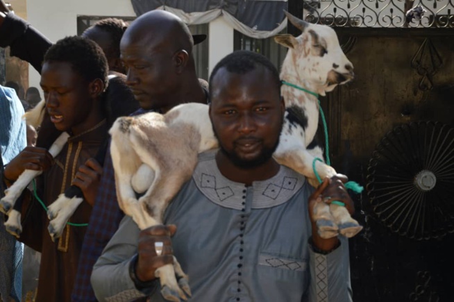 Un million et un bélier, le "Ndogou ziar" de Serigne Baba à Serigne Bassirou Fall Alhourane à Touba. Un million et un bélier, le "Ndogou ziar" de Serigne Baba à Serigne Bassirou Fall Alhourane à Touba.