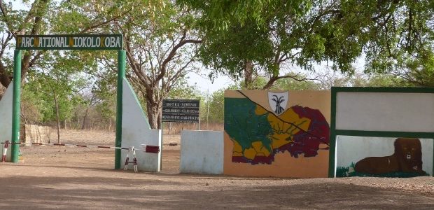 Exploitation illégale de l’or au Parc Niokolo Koba : le maire de Tomborokoto entendu par la gendarmerie