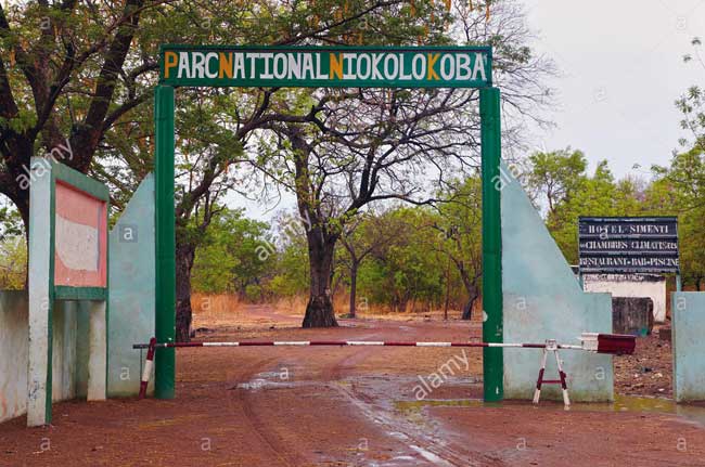 Exploitation illégale d’or à Niokolo Koba: Un autre maire entendu par la gendarmerie Exploitation illégale d’or à Niokolo Koba: Un autre maire entendu par la gendarmerie
