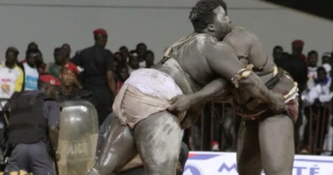 VIDÉO: Comment Reu Reug a humilié Gris 2 VIDÉO: Comment Reu Reug a humilié Gris 2