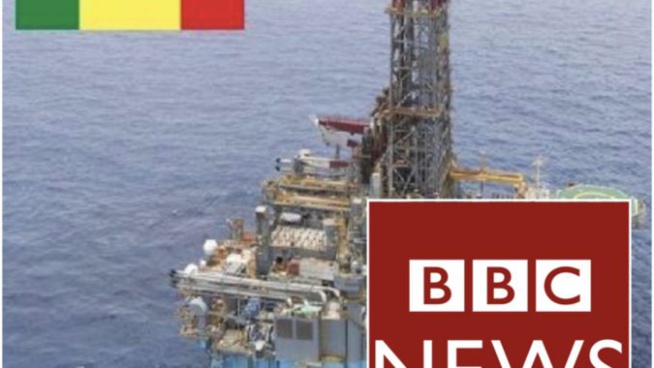Contribution à la polémique suite aux déballages mensongers de la BBC sur le gaz et le pétrole au Sénégal Contribution à la polémique suite aux déballages mensongers de la BBC sur le gaz et le pétrole au Sénégal
