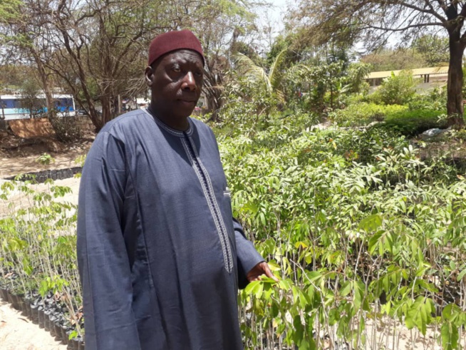 L’Uncefs accompagne la politique nationale de reforestation du gouvernement… L’Uncefs accompagne la politique nationale de reforestation du gouvernement…