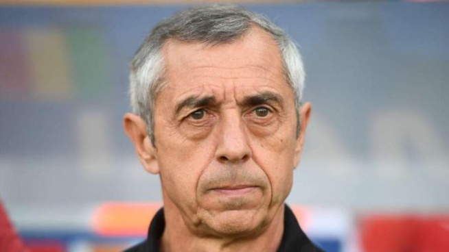 CAN 2019 : Alain Giresse « Les Lions ont bien grandi » CAN 2019 : Alain Giresse « Les Lions ont bien grandi »