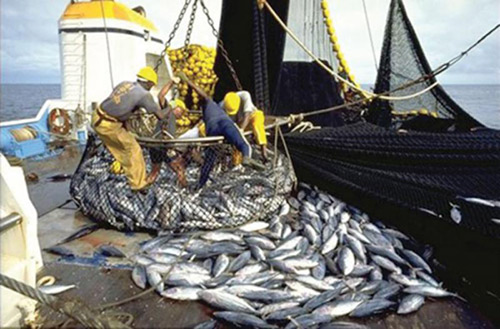 Calendrier républicain : Les travailleurs de la pêche réclament leur journée