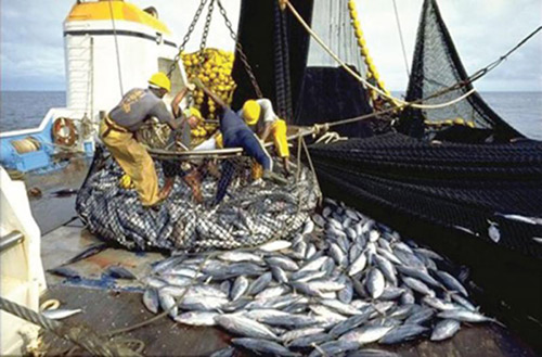 Calendrier républicain : Les travailleurs de la pêche réclament leur journée Calendrier républicain : Les travailleurs de la pêche réclament leur journée