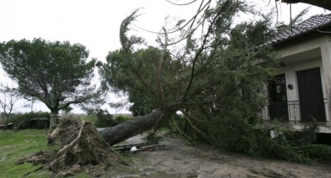 Kédougou: Un arbre s’affaisse et tue deux personnes sur le coup Kédougou: Un arbre s’affaisse et tue deux personnes sur le coup