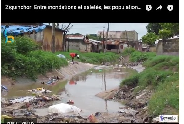 Ziguinchor: Les populations craignent le retour des inondations Ziguinchor: Les populations craignent le retour des inondations