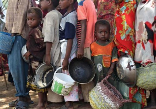 Rapport de la FAO: le Sénégal parmi les 41 pays dans le monde menacés de famine