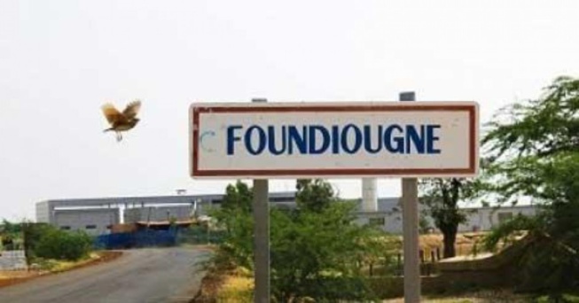 Foundiougne : Le programme Mangrove évalué Foundiougne : Le programme Mangrove évalué