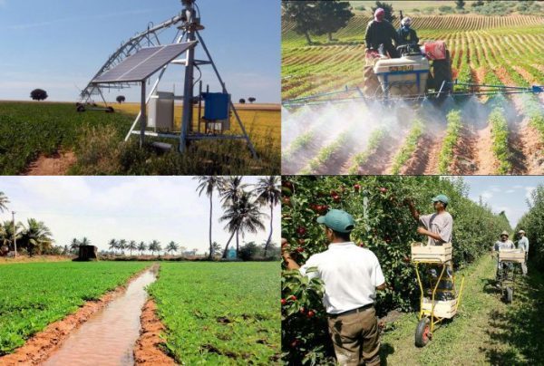 Développement agricole et rural - Réseau des parlementaires: « L’accès à la nourriture présente des inégalités et se nourrir constitue un problème bien différent » Développement agricole et rural - Réseau des parlementaires: « L’accès à la nourriture présente des inégalités et se nourrir constitue un problème bien différent »