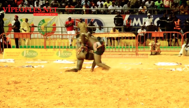 EXCLUSIF: Les images de la chute polémique de Boy Niang face à Lac de Guier 2.