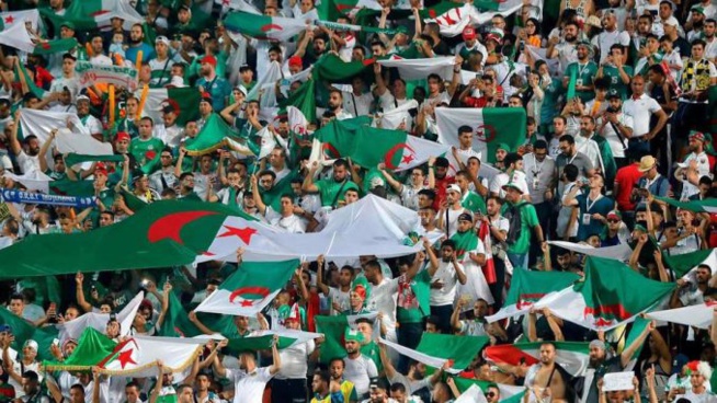 Final CAN 2019 : 28 avions seront mobilisés pour transporter les supporters Algériens au Caire