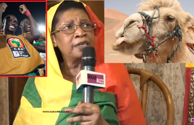 Finale Sénégal Vs Algérie: Selbé Ndom « Kilifa Bima Jox Guilem Bii » Thiow Dina Amm Finale Sénégal Vs Algérie: Selbé Ndom « Kilifa Bima Jox Guilem Bii » Thiow Dina Amm