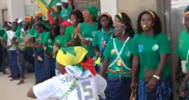 DIRECT- Vivez l’arrivée des lions à l’aéroport LSS DIRECT- Vivez l’arrivée des lions à l’aéroport LSS