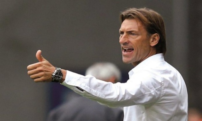 Hervé Renard : « Ma prochaine destination ne sera pas sur le continent africain » Hervé Renard : « Ma prochaine destination ne sera pas sur le continent africain »