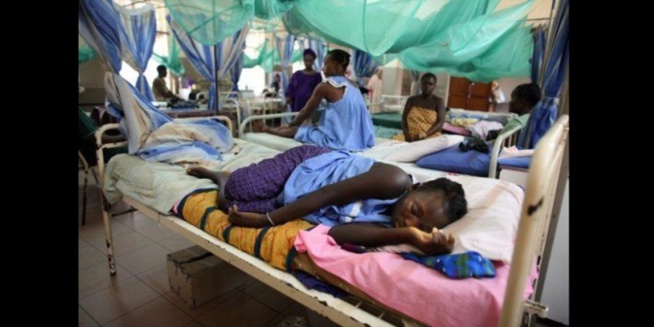 Hépatite : OMS exhorte les pays à investir dans la lutte Hépatite : OMS exhorte les pays à investir dans la lutte