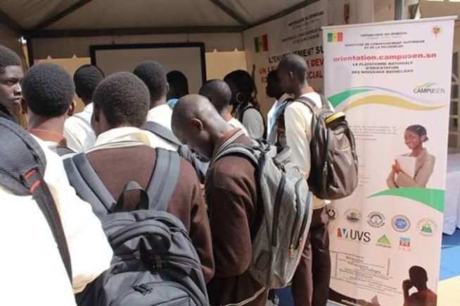 Enseignement supérieur : le Cudopes met sa menace à exécution Enseignement supérieur : le Cudopes met sa menace à exécution