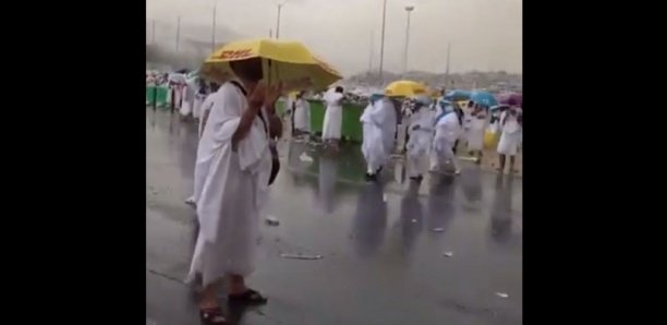 Vidéo – Pèlerinage à la Mecque : Une forte pluie sur Arafat