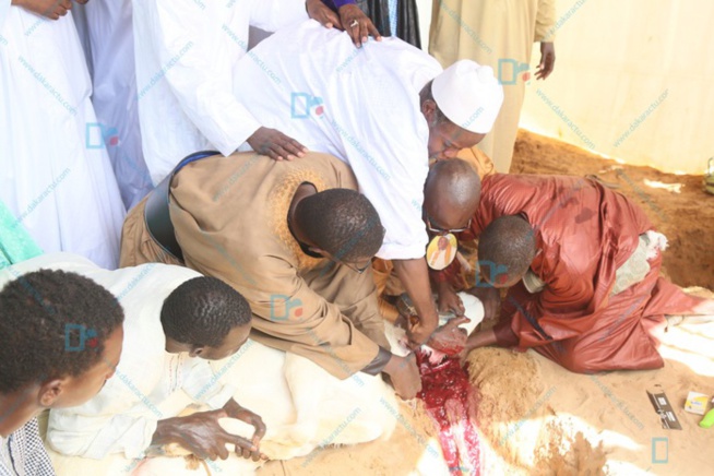 Les images de la célébration de l’Aid El Kebir à la mosquée Massalikoul Djinane... Les images de la célébration de l’Aid El Kebir à la mosquée Massalikoul Djinane...