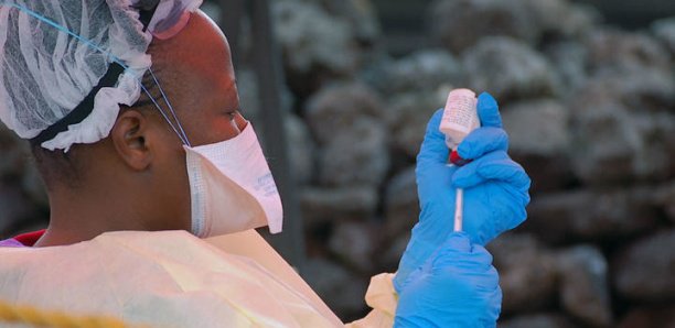 Contre le virus Ebola, deux médicaments offrent de nouvelles pistes Contre le virus Ebola, deux médicaments offrent de nouvelles pistes