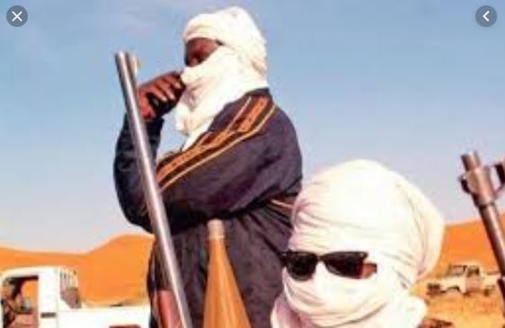 VIDEO - Mauritanie: infiltration de présumés djihadistes étrangers dans le pays