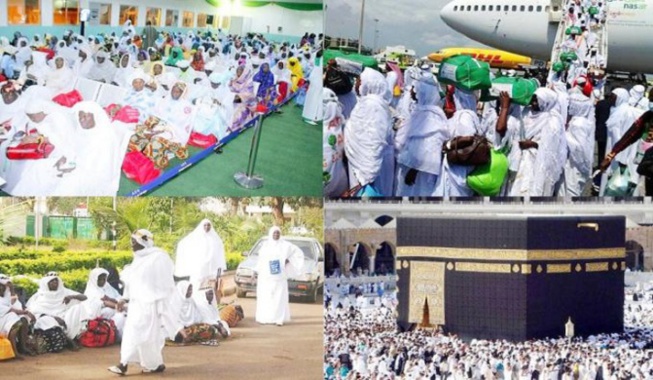 Hajj-2019 : le retour amer de plus de 10 000 pélerins Hajj-2019 : le retour amer de plus de 10 000 pélerins