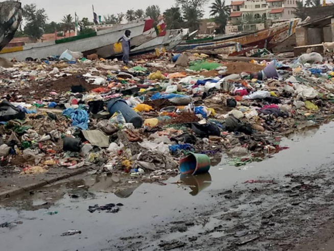 Insalubrité à Saint-Louis: Goxu Mbacc et Pikine remportent la palme Insalubrité à Saint-Louis: Goxu Mbacc et Pikine remportent la palme