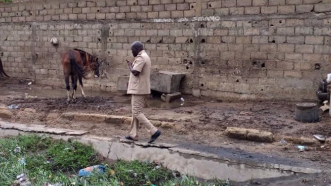 LE PRÉFET DE DAKAR À LA TROUSSE DES CHARRETIERS LE PRÉFET DE DAKAR À LA TROUSSE DES CHARRETIERS
