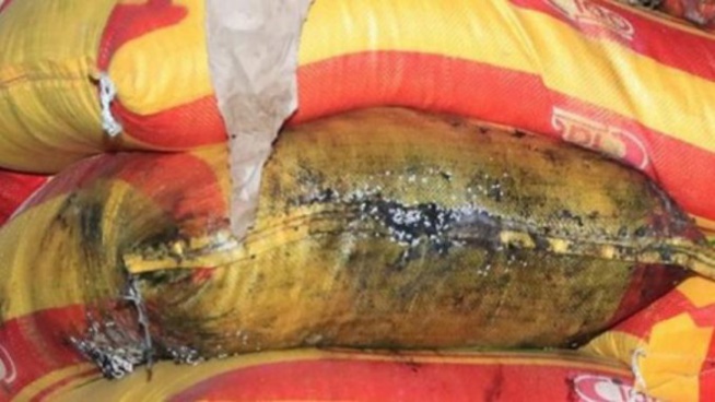 Alerte à Yarakh: Des tonnes de riz pourri empoisonnent la vie des populations Alerte à Yarakh: Des tonnes de riz pourri empoisonnent la vie des populations