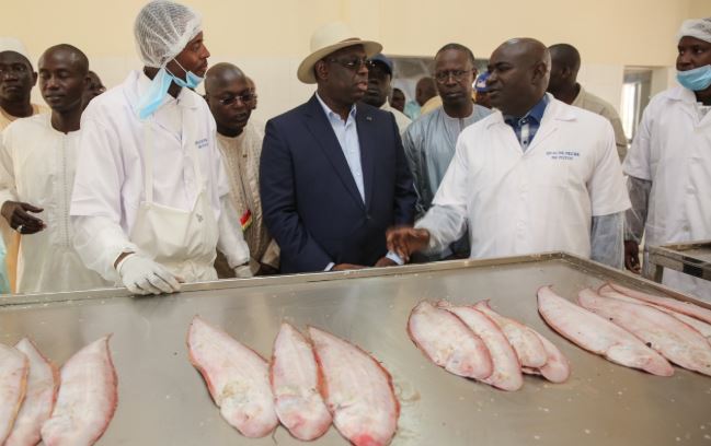 Sommet G7 : Le Président Macky SALL a rappelé les défis liés au secteur de la pêche, en Afrique, et au Sénégal en particulier Sommet G7 : Le Président Macky SALL a rappelé les défis liés au secteur de la pêche, en Afrique, et au Sénégal en particulier
