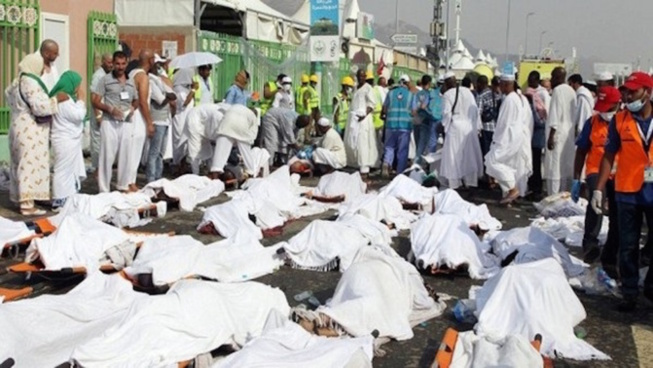 Pèlerinage 2019 : Une dizaine de mort enregistrée