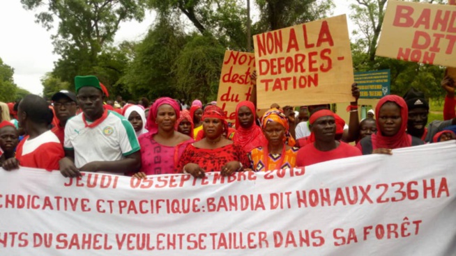 Bandia:Les populations dans la rue pour dire non aux 236 hectares de Layousse Bandia:Les populations dans la rue pour dire non aux 236 hectares de Layousse