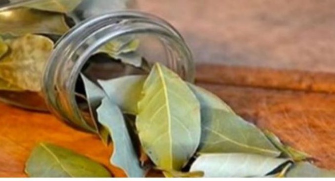 Il aide à combattre l`insomnie, l`hypertension artérielle, le diabète et le cholestérol Il aide à combattre l`insomnie, l`hypertension artérielle, le diabète et le cholestérol