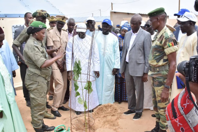 Reboisement à Diougop avec le ministre des Collectivités territoriales (PHOTOS)