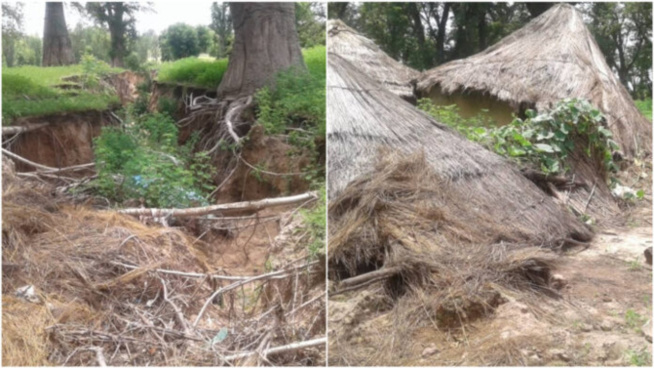 Kaffrine- Taïba Keur Set Goumbo : Un village sénégalais presque rayé de la carte par une grosse tornade
