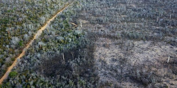 Madagascar : l'entreprise française Star s'approvisionne-t-elle en maïs cultivé illégalement ? Madagascar : l'entreprise française Star s'approvisionne-t-elle en maïs cultivé illégalement ?