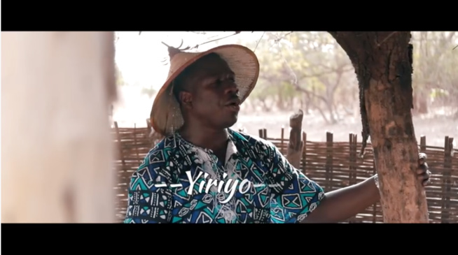 Djiby Dramé - Yiriyo (Clip Officiel)