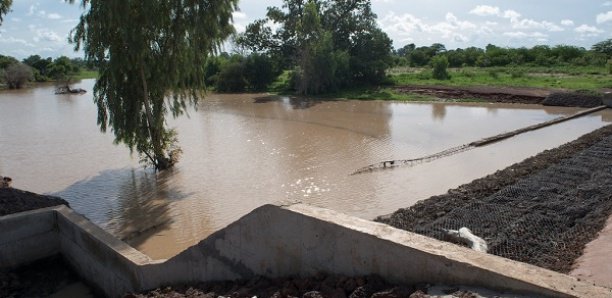 Conséquence des fortes pluies: un garçon de 12 ans meurt par noyade à Kaffrine Conséquence des fortes pluies: un garçon de 12 ans meurt par noyade à Kaffrine
