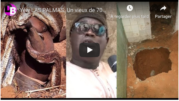 VIDEO - Affaire serpent des HLM Las Palmas: Un vieux de 70 ans fait des révélations: « Pabi mako jox keurgui en 1983, lii yaguenafi »