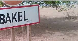 Bakel: Contre manifestation pour soutenir les actions du Président Macky Sall Bakel: Contre manifestation pour soutenir les actions du Président Macky Sall