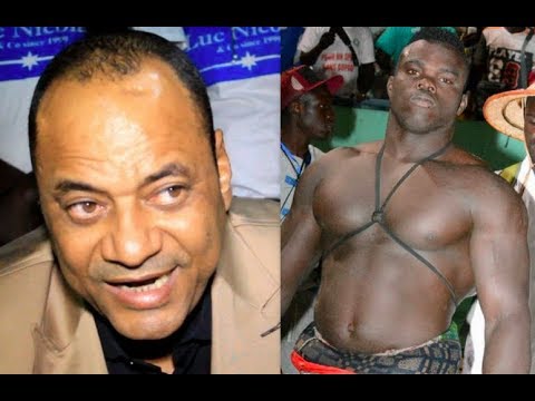 Luc Nicolaï cherche un adversaire à Reug Reug : Gouye Gui, Papa Sow et Garga Mbossé sur ses tablettes Luc Nicolaï cherche un adversaire à Reug Reug : Gouye Gui, Papa Sow et Garga Mbossé sur ses tablettes