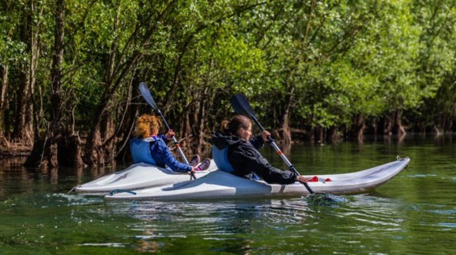 Suicide en Espagne : Un Sénégalais se donne la mort dans un parc Suicide en Espagne : Un Sénégalais se donne la mort dans un parc