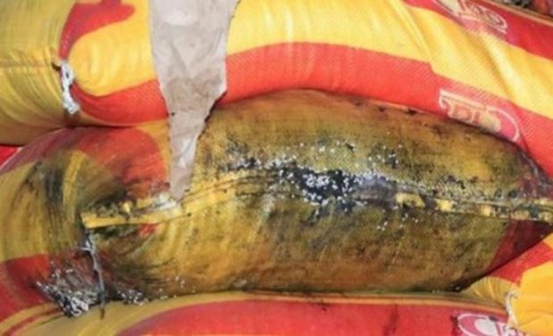 Yeumbeul : Saisie de 65 tonnes de maïs volées au port Yeumbeul : Saisie de 65 tonnes de maïs volées au port