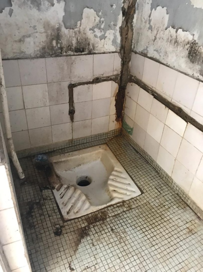 CEM Blaise Diagne : Les toilettes des élèves dans un piètre état, les autorités interpellées CEM Blaise Diagne : Les toilettes des élèves dans un piètre état, les autorités interpellées