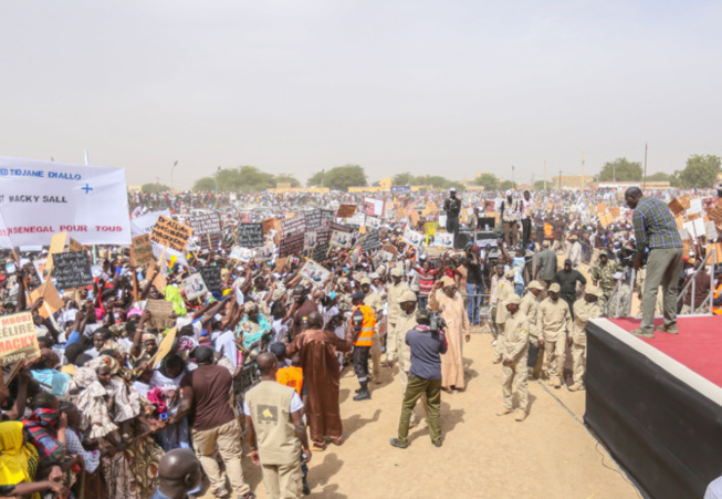 AFRICA OIL - GESTION DE L'ÉNERGIE : Les cadres et mouvements de développement du Walo félicitent le Président et expriment leur soutien total au Ministre Mouhamadou Makhtar Cissé.