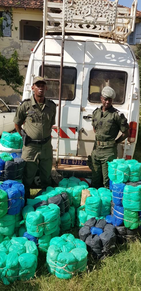 210 kg de chanvre indien saisis par la Brigade maritime des Douanes de Foundiougne